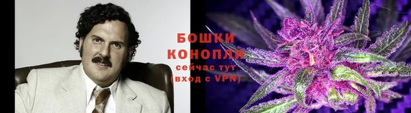 гидра Баксан