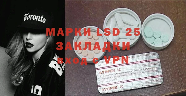 индика Балабаново