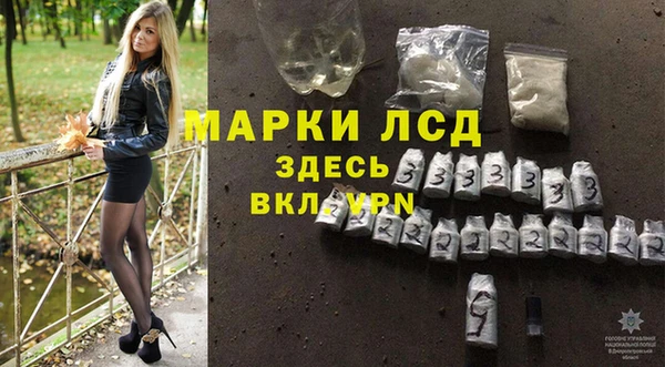 индика Балабаново