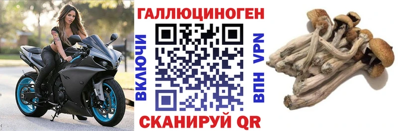 мега вход  где купить   Закаменск  Псилоцибиновые грибы ЛСД 